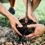 Alcolina Química e Derivados recebe selo neutro de carbono