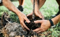 Alcolina Química e Derivados recebe selo neutro de carbono