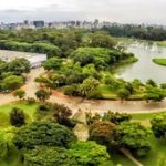 Santos TV, Seleção, Ibirapuera…