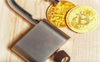 Wallet de criptomoedas no Brasil: o que considerar antes de armazenar seus ativos digitais