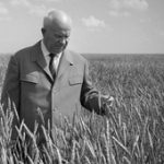 Junk food, Itaú, Khrushchev…