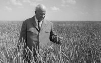 Junk food, Itaú, Khrushchev…
