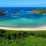 Surubão de Noronha: fato ou fake?