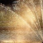 Golden Shower: febre da chuva dourada